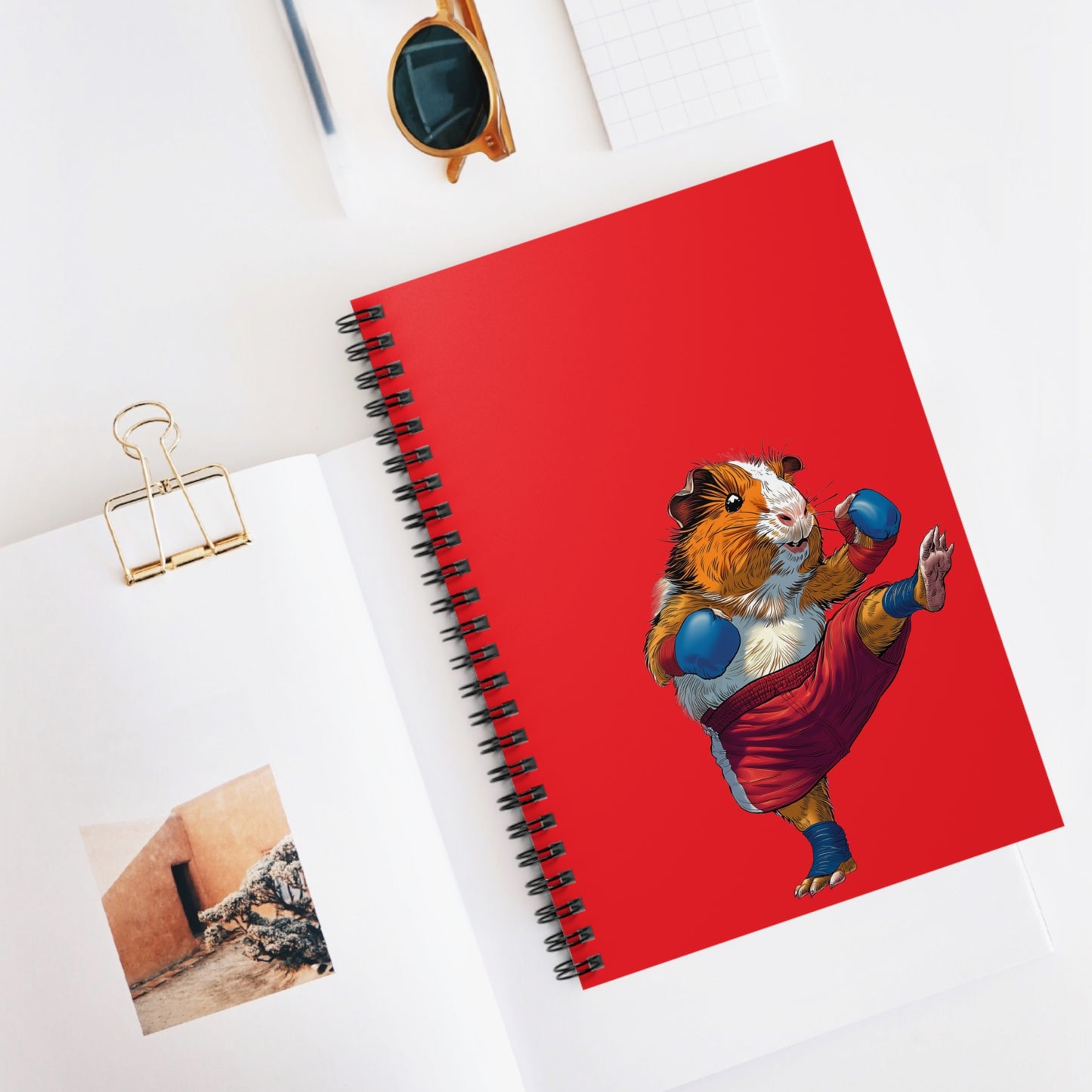 Training Journal - Muay Thai Guinea Pig